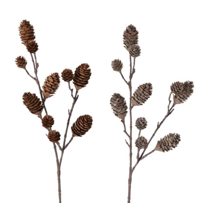 Boltze erdeifenyő dekorág 2-féle változatban válogatás 72 cm barna