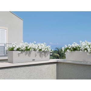 Lechuza Balconera Cottage 80, világosszürke virágláda öntözőrendszerrel és fehér virágokkal.