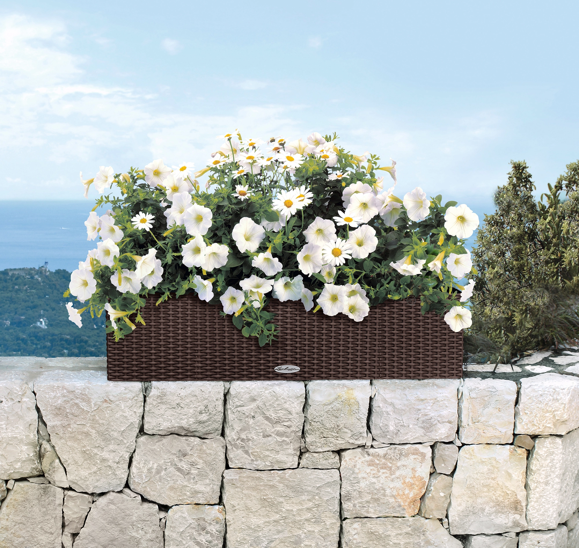 Lechuza Balconera Cottage 80 virágláda mokka 80 cm x 19 cm vásárlása - OBI