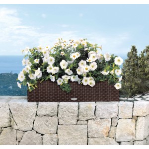 Lechuza Balconera Cottage 80 Mokka virágláda (80x19cm) fehér virágokkal egy kőfalon.