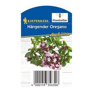 Kiepenkerl függő oregano cserépben, aromás konyhai fűszernövény lila virágokkal.