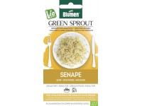 Bio mustármag csíra mag Bio mustármag csíra mag