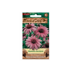 't.b.t.' kasvirágmag csomag. Virágzó, lila echinacea virágok.