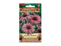 Lángvörös kasvirág rózsaszín