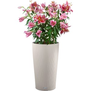 Lechuza Cilindro Color virágtartó, Ø 23 cm, homokbarna, rózsaszín liliomokkal.