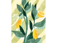 Komar vlies fotótapéta Lemon Fresh 200 cm x 250 cm Komar vlies fotótapéta Lemon Fresh 200 cm x 250 cm