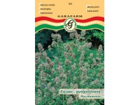 Macskamenta vetőmag Macskamenta vetőmag