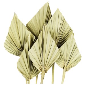 Dekorációs Palm Spear növény természetes színben, ideális koszorúkhoz és díszekhez.