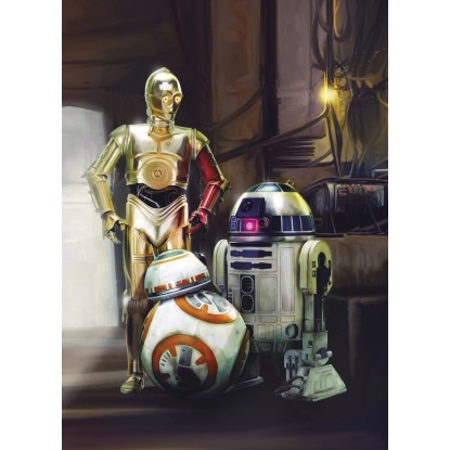 Komar fotótapéta STAR WARS Three Droids 184 cm x 254 cm FSC