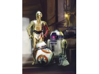Komar fotótapéta STAR WARS Three Droids 184 cm x 254 cm FSC Komar fotótapéta STAR WARS Three Droids 184 cm x 254 cm FSC