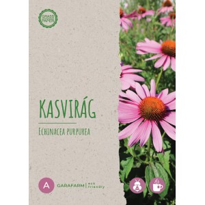 Csomag KASVIRÁG kasvirág (Echinacea purpurea) magokat méhbarát kerthez.
