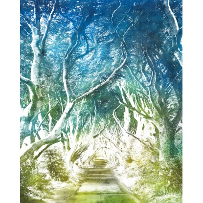 Komar nemszőtt fotótapéta Alley 200 cm x 250 cm