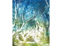 Komar nemszőtt fotótapéta Alley 200 cm x 250 cm