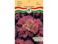 Tépősaláta Lollo rossa vetőmag Tépősaláta Lollo rossa vetőmag