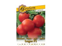 Prémium vetőmag paradicsom