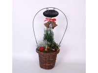 Karácsonyi kompozíció kosárban cserépátmérő: kb. 27 cm