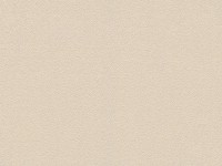 A.S. Création Trendwall fátyoltapéta egyszínű krémszínű-bézs FSC® A.S. Création Trendwall fátyoltapéta egyszínű krémszínű-bézs FSC®