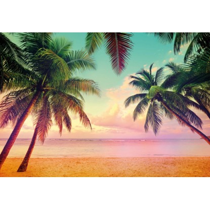 Komar fotótapéta Miami 368 cm x 254 cm FSC