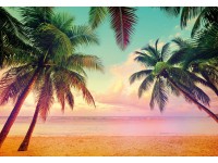 Komar fotótapéta Miami 368 cm x 254 cm FSC