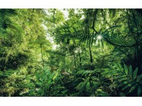Komar vlies fotótapéta Into The Jungle 400 cm x 250 cm