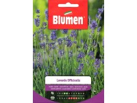 Blumen Levendula Blumen Levendula