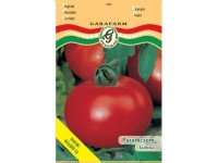 Paradicsom Tamina vetőmag
