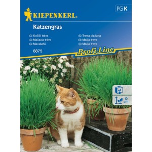 Kiepenkerl macskamenta magok macskával a képen.