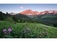 Vlies fotótapéta Picturesque Switzerland 450 cm x 280 cm