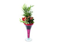 Növénykompozíció trombitavázában cserépátmérő: kb. 15 cm Növénykompozíció trombitavázában cserépátmérő: kb. 15 cm