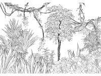Komar nemszőtt fotótapéta Blanca 400 cm x 280 cm