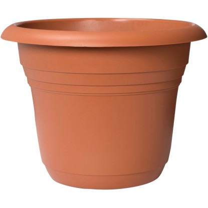 Ebertsankey Fiore Alessia virágcserép átmérője 20 cm terra
