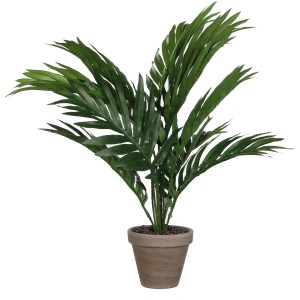 Zöld mű Areca pálma növény (M 45 cm) terrakotta cserépben, részletes és könnyen kezelhető.