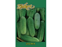 Uborka Rajnai fürtös Uborka Rajnai fürtös