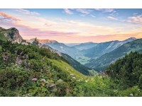 Komar nemszőtt fotótapéta Alps 400 cm x 250 cm