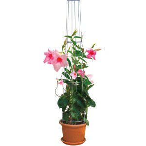 Bellissa kúpos támaszték, 130 cm, horganyzott, virágzó futónövénnyel cserépben.