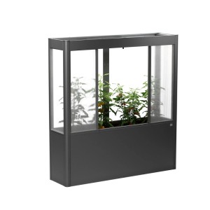 Biohort Florentina üvegház toldalék magaságyáshoz, 2 x 0,5 m, sötétszürke-metál. Növények láthatók belül.