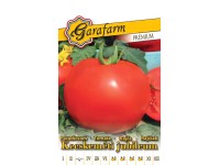 Paradicsom Paradicsom