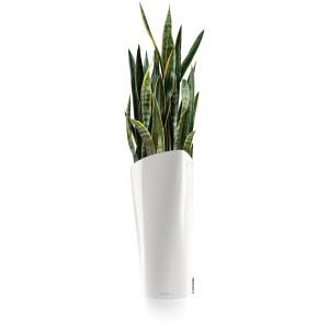 Fehér Lechuza Delta Premium virágoszlop, 75 cm magas, zöld növénnyel.