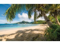 Vlies fotótapéta Strandoase Südsee 450 cm x 280 cm