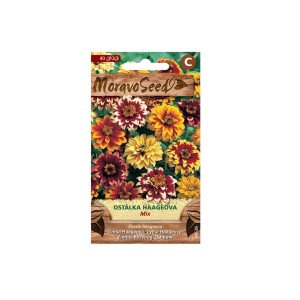 Zinnia 'Haageova Mix' vetőmag csomag: Színes zinniák a kertbe.