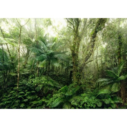 Komar vlies fotótapéta Mindfulness 350 cm x 250 cm