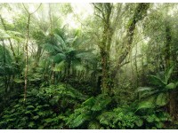 Komar vlies fotótapéta Mindfulness 350 cm x 250 cm