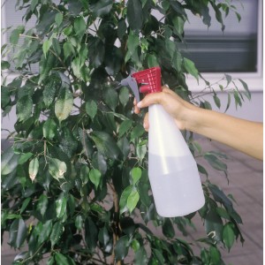 LUX 1000 ml-es permetező használat közben: Szobanövény permetezése virágpermetezővel.