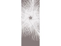 Komar fotótapéta gyapjú Federkern 100 cm x 250 cm  100 cm x 250 cm