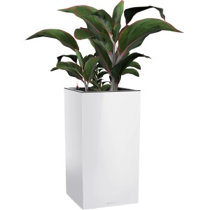 Fehér Lechuza Canto Premium high LED virágtartó (40x40 cm) növénnyel.