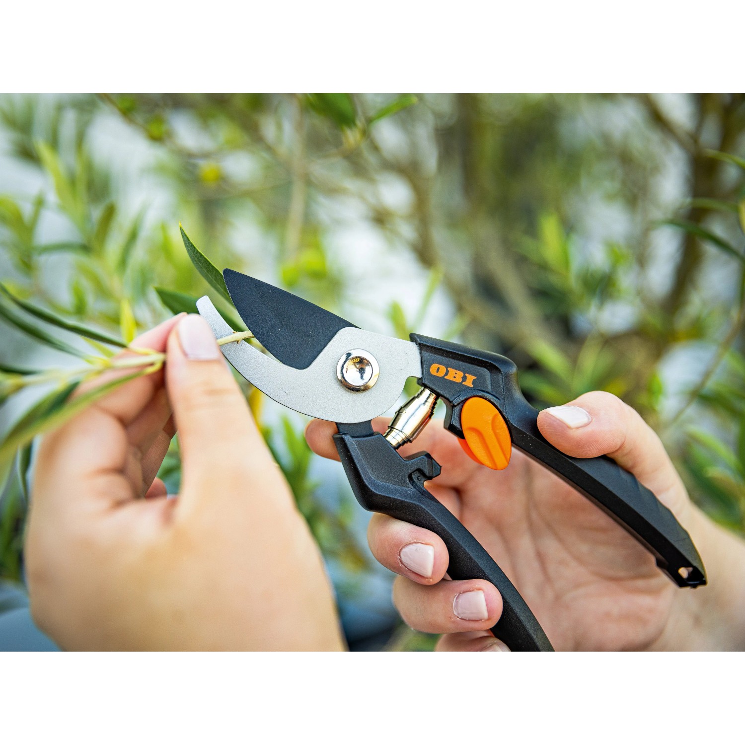 OBI metszőolló vásárlása az OBI -nál