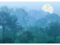 Komar vlies fotótapéta Deep in the Jungle 400 cm x 280 cm
