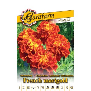 Francia büdöske (Tagetes patula) vetőmag csomag narancs-sárga virágokkal.
