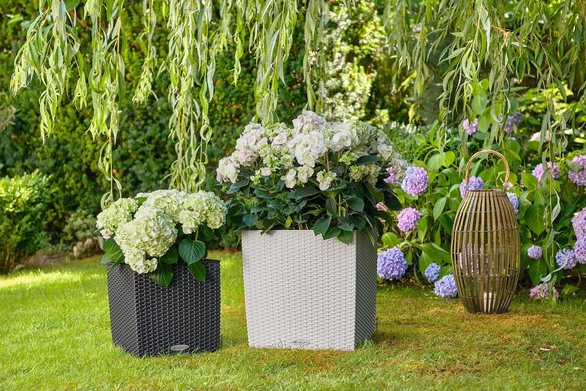 Pot de fleur LECHUZA Trio Cottage 30 - kit complet gris clair Pot de fleur LECHUZA Trio Cottage 30 - kit complet gris clair