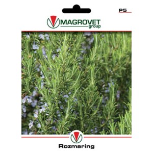 Rozmaring vetőmag csomag a Magrovet Grouptól. Fűszernövény magok a kertbe.